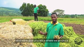 Silage production process EXPLAINED [upl. by Ramhaj]