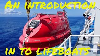 How to operate a Davit launch type Lifeboat and How to Launch it What is equipment is on board 🔝⚓🌊 [upl. by Schonthal]