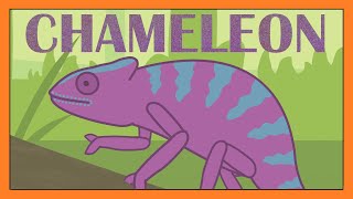 Chameleon Song  Fun Educational Animal Song for Kids │ Smiley Rhymes [upl. by Gnat448]