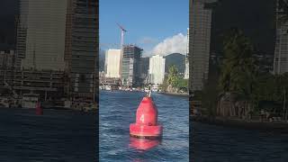 Sailing By Waikiki Surfers On Catamaran Snorkeling Tour ￼ [upl. by Odnalo]