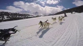 Grandvalira Mushing by GoPro  Activities Andorra 2016 [upl. by Anitroc370]