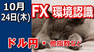 【TAKA FX】ドルの流れに変化あり！？ ドル円他各通貨の環境認識解説。各種指数、GOLDなど 10月24日木 [upl. by Anytsirk]