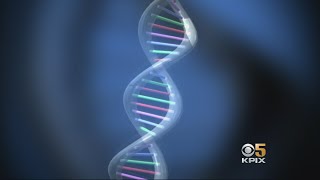 DNA Questions arise over how Ancestrycom is sharing its customers DNA information [upl. by Hylan]