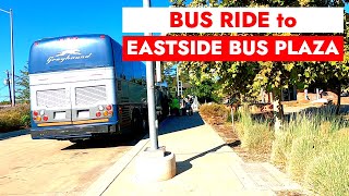 🚍Eastside Bus Plaza Austin Texas [upl. by Hazrit584]