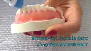 Technique de brossage des dents avec brosse  à dent électrique – Dr Rania Azzi Parodontiste [upl. by Cronin]