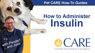 How to Give an Insulin Injection  Pet CARE Howto Guides [upl. by Kelcy]