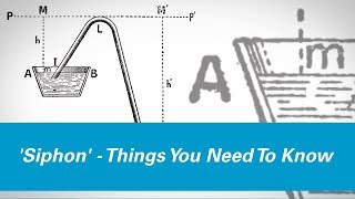 Why Do Siphons Have A Maximum Height Principle History amp Assumptions All Explained [upl. by Elleynod241]