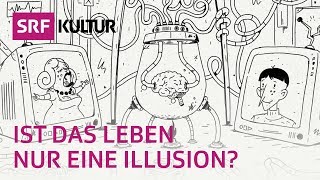 «GEHIRN IM TANK» – das philosophische Gedankenexperiment  filosofix [upl. by Nueoras178]