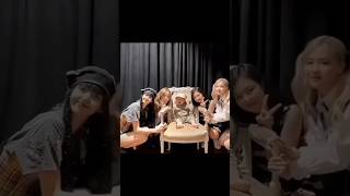 Someone save him from these 4 babies 💀🤣 blackpink fypviralシ funny ytshorts lisa jisoo jennie [upl. by Neelhtak661]