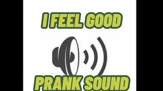 I FEEL GOOD PRANK SOUND🤣🤣SO GOOD [upl. by Akenet]