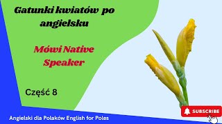 Fiszki kwiaty po angielsku Część 8 film interaktywny Mówi Native Speaker [upl. by Annodam]