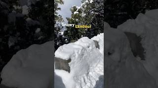 Landour In Snowfall 😍 ❄️ shorts youtubeshorts landour [upl. by Dart]