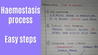 Haemostasis process and blood clotting mechanism  HAP 1 semester [upl. by Cris]