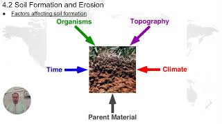 APES  42  Soil Formation and Erosion [upl. by Ellenid]