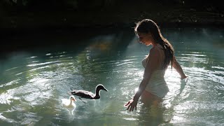 Calming Swim with My Pet Ducks Daily Life in the Countryside [upl. by Yennor]