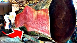 IDR 1 Billion Redwood Log Split in Two Amazing View of Wood Grain Closeup [upl. by Ikiv]