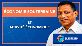 ÉCONOMIE SOUTERRAINE ET ACTIVITÉ ÉCONOMIQUE [upl. by Agna]