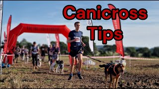 Tips for WINNING a canicross race [upl. by Jannery]