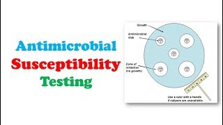 Microbiology 🔤  Antimicrobial Susceptibility Testing [upl. by Aikaj]