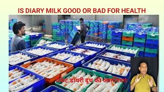 Is diary milk good or bad for health Is diary packaged milk healthykya diary dudh thik hai ya nahi [upl. by Ecallaw215]