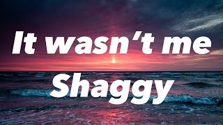 It Wasn’t MeShaggy Lyrics [upl. by Neom]