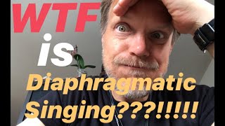 How to Sing From The Diaphragm  Tips for Beginners [upl. by Ynnod95]