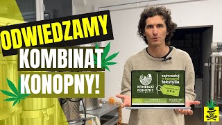 Kombinat Konopny jak wygląda  KOMBINATKONOPNY X WINI [upl. by Nnyltiak446]