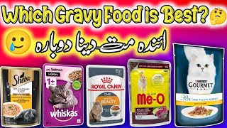 Which Gravy food is Best for Persian Cat amp kittens 🤔 How to choose right diet for you Cats amp Kittens [upl. by Kinch198]