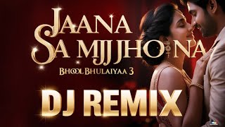 Bhool Bhulaiyaa 3 Jaana Samjho Na Dj Remix Song Zee Gold Music [upl. by Gylys]