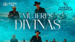 Harvey Valencia  Mujeres Divinas Video Oficial En Vivo [upl. by Hsetirp]