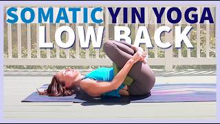 Somatic Yin Yoga BACK amp HIP Pain Relief with Vagus Nerve Stimulation [upl. by Bacon]