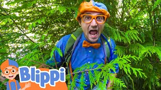 Blippi Hiking and Beach Clean Up  Blippi  Learning Videos for Kids [upl. by Ardnohsal466]