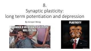 HKBB101  8  Synaptic plasticity long term potentiation and depression [upl. by Ahsinnod]