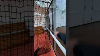 Holland America  Cruise Ship Zaandam  Deck 9 Crows Nest amp outdoor play courts  Quick Overview [upl. by Marlie]