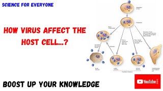 How Virus Affect a Host Cell  Conceptional Explanation [upl. by Van]