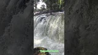 Hogenakkal tourism shots reels video subscribe 👍 [upl. by Sacul]