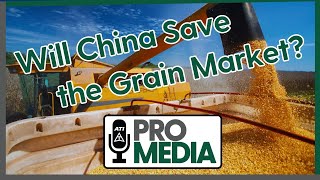 Will China Save the Grain Market [upl. by Eeslehc]