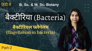 Bacteria in Hindi बैक्टीरिया हिंदी में  flagellation in bacteria  Botany  B Sc amp M Sc [upl. by Alben]