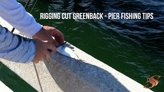 Rigging Cut Greenbacks  Pier Fishing Tips [upl. by Irelav]