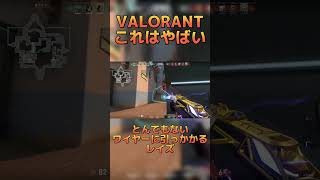 【 VALORANT 】ワイヤーにひっかかるレイズがやばい shorts vtuber ヴァロラント【 椎南纏 Vtuber 】 [upl. by Udenihc98]