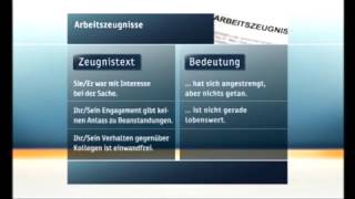 zdf beitrag arbeitszeugnis de [upl. by Strephonn999]