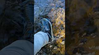 Testing Korkers PFS 3 wading boots gearreview korkers riverfishing newyorksalmonfishing [upl. by Menides]