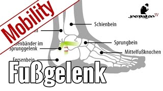 Übungen für mehr Beweglichkeit im Fußgelenk  Ankle Mobility [upl. by Waiter440]