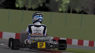 Wackersdorf Onboard KZ Hot Lap  Kart Racing Pro [upl. by Anilok]