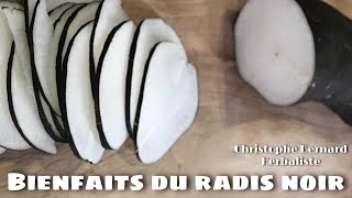 Le radis noir  détoxification du foie et nettoyage des poumons [upl. by Names164]