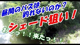 バス釣り日誌！昼間のバスは釣れないのか！？シェード狙い！ [upl. by Anelim216]