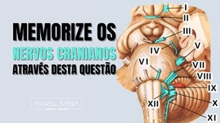 NERVOS CRANIANOS  função e localização  Questão comentada [upl. by Meridel879]