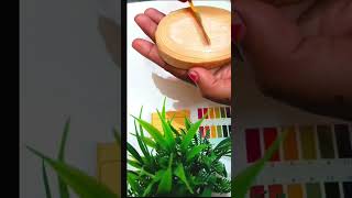 Mysore sandal soap pH level testphtestingphlevel mysoresandalsoapshorts viralvideoviralshorts [upl. by Aseeram]