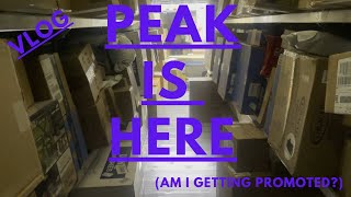 PEAK IS BACK Am I Getting Promoted [upl. by Cchaddie177]