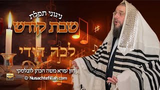 Song for Lecha Dodi  ניגון לתפילת לכה דודי [upl. by Weld]